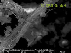 MEB imagen crisotilo amianto en yeso, espátula | © CRB Analysis Service GmbH