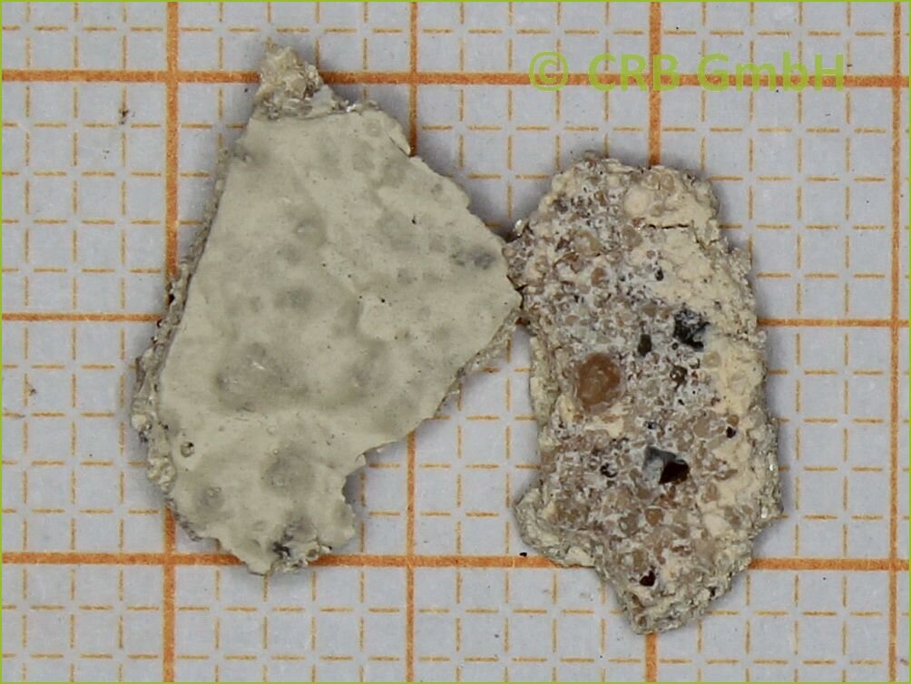 Análisis de amianto en yeso, pintura, espátula | © CRB Analysis Service GmbH